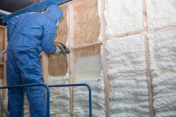 Types of Insulation We Offer in Wooster, OH